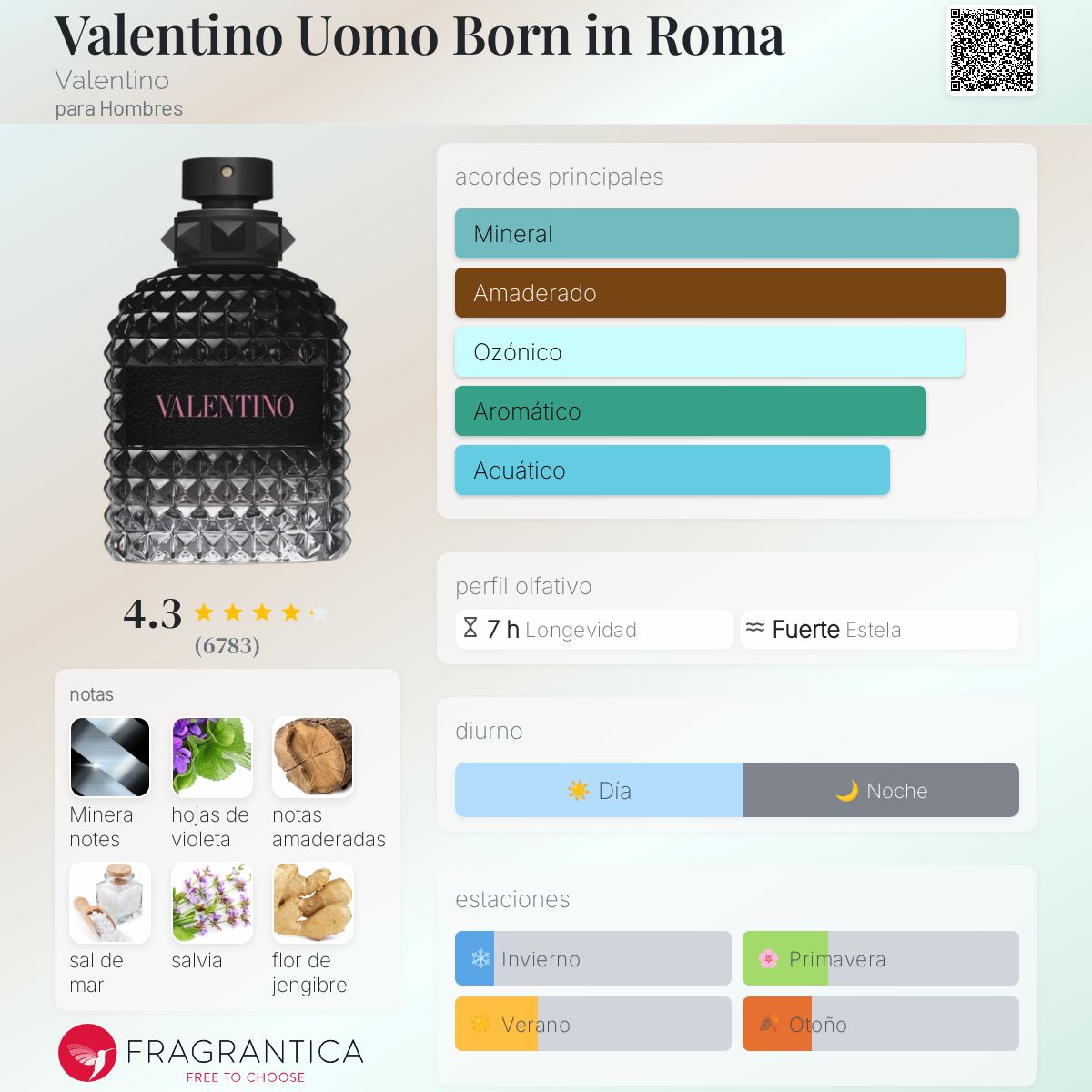 VALENTINO BORN IN ROMA